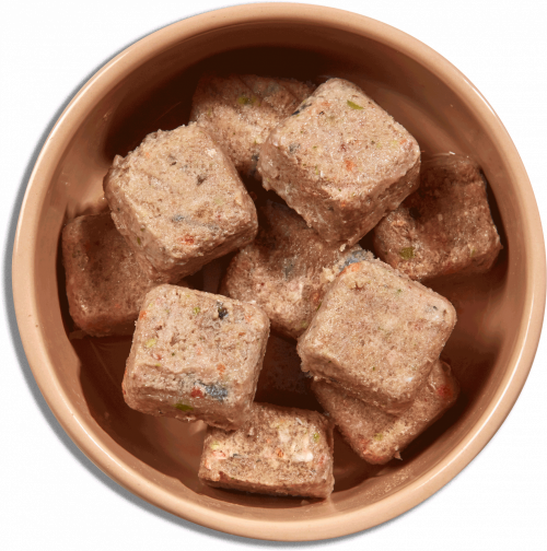 Country Hunter Raw Nuggets Chicken & Salmon Mischief Doggy Day Care